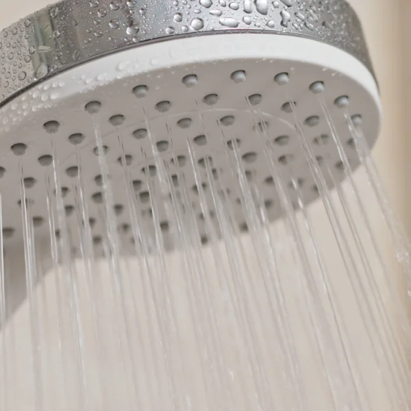 Shower head clean